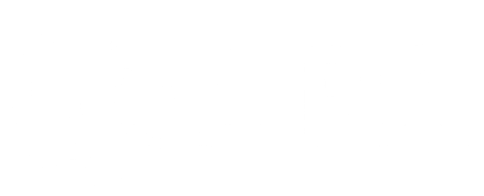 APA Maritime Logo